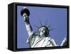 Statue of Liberty, New York-null-Framed Stretched Canvas