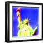 Statue of Liberty, New York-Tosh-Framed Art Print