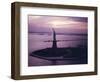 Statue of Liberty on Bedloe's Island in New York Harbor-Dmitri Kessel-Framed Photographic Print