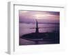 Statue of Liberty on Bedloe's Island in New York Harbor-Dmitri Kessel-Framed Photographic Print