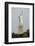 Statue of Liberty Seen from Behind, New York City-Paul Souders-Framed Photographic Print