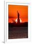 Statue of Liberty sunset. NYC harbor, Manhattan-null-Framed Premium Photographic Print