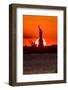 Statue of Liberty sunset. NYC harbor, Manhattan-null-Framed Photographic Print