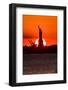 Statue of Liberty sunset. NYC harbor, Manhattan-null-Framed Photographic Print