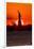 Statue of Liberty sunset. NYC harbor, Manhattan-null-Framed Photographic Print