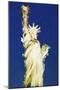 Statue of Liberty VI - In the Style of Oil Painting-Philippe Hugonnard-Mounted Giclee Print