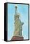 Statue of Liberty with Lights, New York City-null-Framed Stretched Canvas