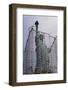 Statue of Liberty with Scaffolding-null-Framed Photographic Print