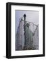 Statue of Liberty with Scaffolding-null-Framed Photographic Print