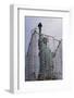 Statue of Liberty with Scaffolding-null-Framed Photographic Print