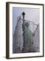 Statue of Liberty with Scaffolding-null-Framed Photographic Print