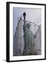 Statue of Liberty with Scaffolding-null-Framed Photographic Print