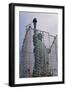 Statue of Liberty with Scaffolding-null-Framed Photographic Print
