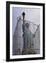 Statue of Liberty with Scaffolding-null-Framed Photographic Print