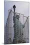 Statue of Liberty with Scaffolding-null-Mounted Photographic Print