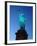 Statue of Liberty-Kurt Freundlinger-Framed Premium Photographic Print