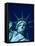 Statue of Liberty-Joseph Sohm-Framed Stretched Canvas
