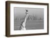 Statue of Liberty-null-Framed Photographic Print