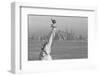 Statue of Liberty-null-Framed Photographic Print