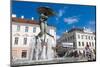 Statue of Lovers (Suudlevad Tudengid), Town Hall Square (Raekoja Plats), Tartu-Nico Tondini-Mounted Photographic Print