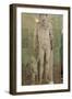 Statue of Lucius Aelius, C Mid 2nd Century-null-Framed Photographic Print