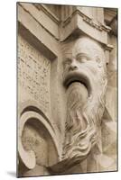Statue of Man with Long Beard Outside a Church in Lecce, Puglia, Italy, Europe-Martin-Mounted Photographic Print