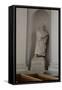 Statue of Martin Luther, Lutheran Cathedral, Helsinki, Finland, 2011-Sheldon Marshall-Framed Stretched Canvas