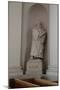 Statue of Martin Luther, Lutheran Cathedral, Helsinki, Finland, 2011-Sheldon Marshall-Mounted Photographic Print