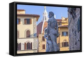 Statue of Neptune, Piazza Della Signora, Florence, Italy-Peter Adams-Framed Stretched Canvas