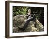 Statue of Oscar Wilde, Merrion Square, Dublin, Eire (Republic of Ireland)-Ken Gillham-Framed Photographic Print