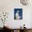 Statue of Our Lady Near St. James, Medjugorje, Bosnia Herzegovina, Europe-Pottage Julian-Stretched Canvas displayed on a wall