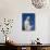 Statue of Our Lady Near St. James, Medjugorje, Bosnia Herzegovina, Europe-Pottage Julian-Photographic Print displayed on a wall