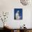 Statue of Our Lady Near St. James, Medjugorje, Bosnia Herzegovina, Europe-Pottage Julian-Mounted Photographic Print displayed on a wall