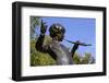 Statue of Peter Pan, Kensington Gardens, London, England, United Kingdom, Europe-Stuart Black-Framed Photographic Print