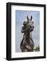 Statue of Phar Lap, Timaru, Canterbury, South Island, New Zealand-null-Framed Photographic Print