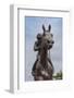 Statue of Phar Lap, Timaru, Canterbury, South Island, New Zealand-null-Framed Photographic Print