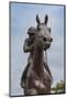 Statue of Phar Lap, Timaru, Canterbury, South Island, New Zealand-null-Mounted Photographic Print