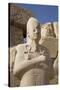 Statue of Pharaoh, Precinct of Amun-Re, Karnak Temple, Luxor, Thebes, Egypt, North Africa, Africa-Richard Maschmeyer-Stretched Canvas