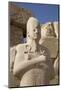 Statue of Pharaoh, Precinct of Amun-Re, Karnak Temple, Luxor, Thebes, Egypt, North Africa, Africa-Richard Maschmeyer-Mounted Photographic Print
