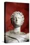 Statue of Polyhymnia, Muse of Sacred Song, Oratory, and Singing-null-Stretched Canvas