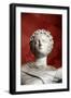 Statue of Polyhymnia, Muse of Sacred Song, Oratory, and Singing-null-Framed Photographic Print
