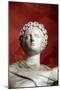 Statue of Polyhymnia, Muse of Sacred Song, Oratory, and Singing-null-Mounted Photographic Print