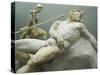 Statue of Polyphemus-null-Stretched Canvas