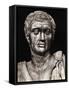 Statue of Pompeius Magnus-null-Framed Stretched Canvas