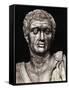 Statue of Pompeius Magnus-null-Framed Stretched Canvas