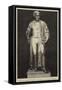Statue of Professor Faraday in the Hall of the Royal Institution-null-Framed Stretched Canvas