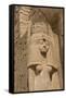 Statue of Queen Nefertari, Sun Temple, Abu Simbel, Egypt, North Africa, Africa-Richard Maschmeyer-Framed Stretched Canvas