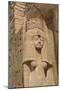 Statue of Queen Nefertari, Sun Temple, Abu Simbel, Egypt, North Africa, Africa-Richard Maschmeyer-Mounted Photographic Print