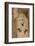 Statue of Queen Nefertari, Sun Temple, Abu Simbel, Egypt, North Africa, Africa-Richard Maschmeyer-Framed Photographic Print