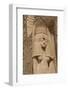 Statue of Queen Nefertari, Sun Temple, Abu Simbel, Egypt, North Africa, Africa-Richard Maschmeyer-Framed Photographic Print